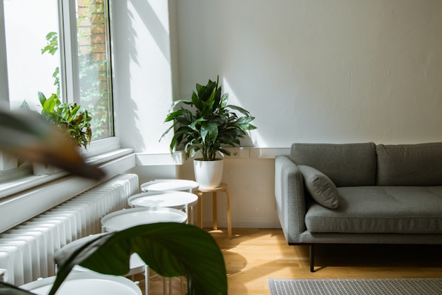 huurwoningen